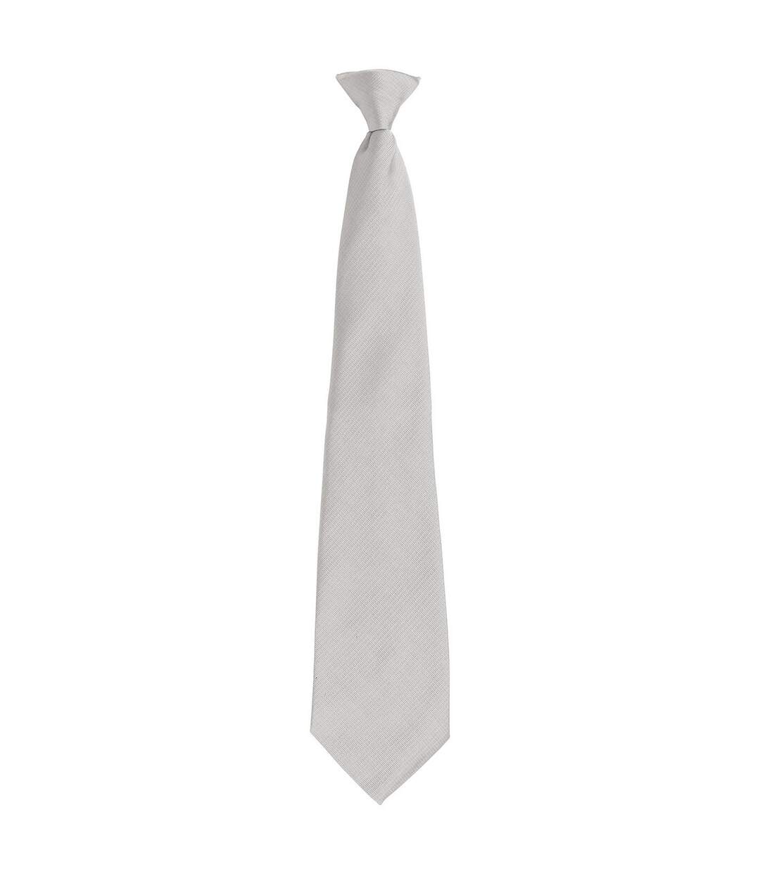 Unisex adult colours fashion plain clip-on tie one size silver Premier-1