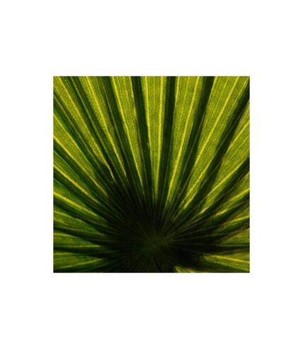 Plante Artificielle Palmier 190cm Vert