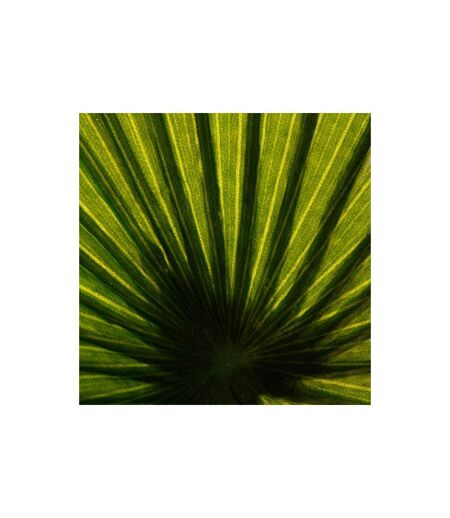 Plante Artificielle Palmier 190cm Vert