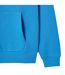 Sweat À Capuche Homme Bleu Lacoste-4