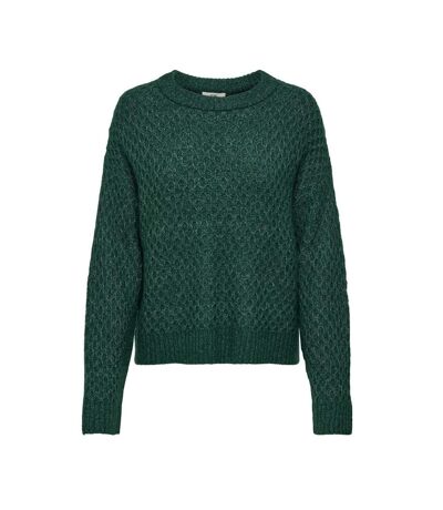 Pull Vert Foncé Femme JDY Bigum - L