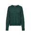 Pull Vert Foncé Femme JDY Bigum - L