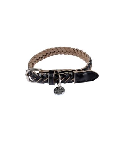 Collier pour Chien Réglable Tressé 30-45cm Noir