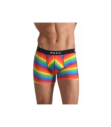 Boxer RAINBOW