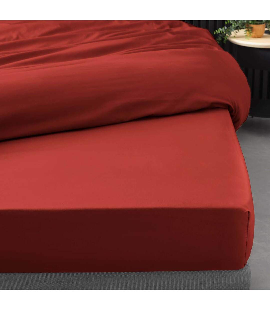 Drap Housse Percaline 160x200cm Tomette-3