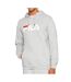 Sweat à capuche Gris Homme Fila Barumini - M