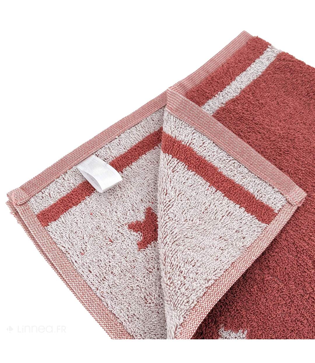 Torchon de cuisine éponge NOVA 100 % coton-4