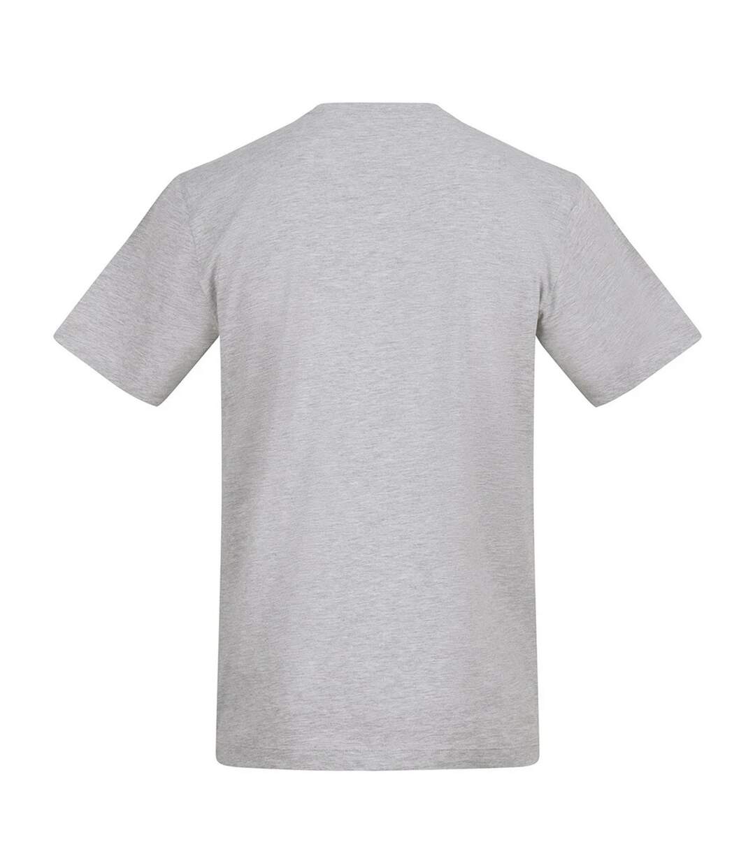 Unisex Adult 150 T-shirt Heather Grey Awdis-2
