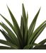 Plante Artificielle Agave 124cm Vert-2