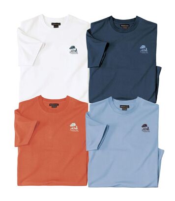 Lot de 4 Tee-shirts Unis