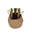 Plante Artificielle en Pot Strelitzia 120cm Vert & Beige