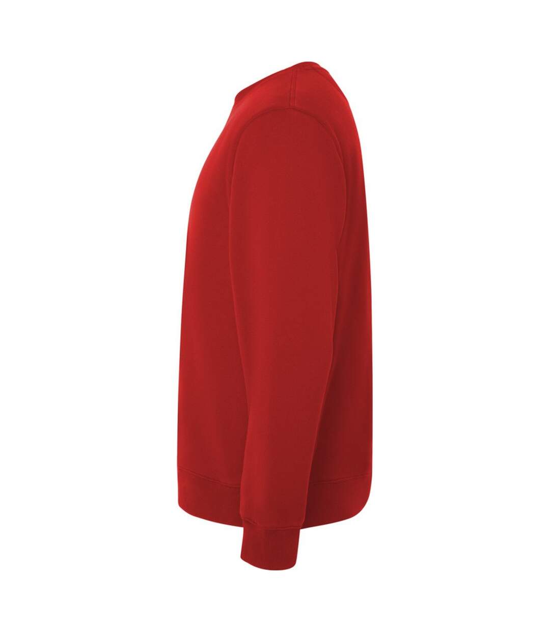 Unisex Adult Batian Crew Neck Sweatshirt Red Roly-3