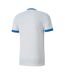 Maillot Teamgoal Homme Blanc Bleu Puma-2