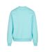 Pull Homme Béryl Bleu Urban Classics-2
