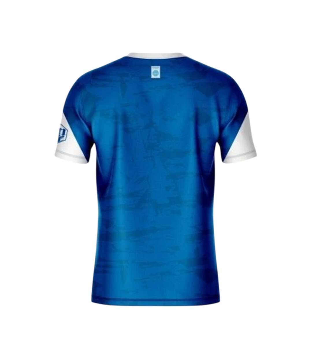 Mens Fight Kickboxing T-shirt Blue Masters-2