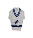Mens cricket jumper navy/sky Carta Sport-1
