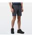 Short Xert Homme Gris Phoque Regatta-1