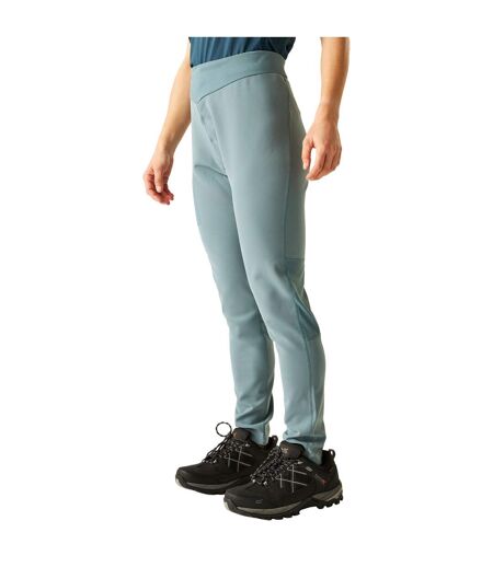 Womens/ladies Torrek Walking Leggings Element Grey Dare 2B