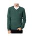 Pull Vert Homme Lacoste Sequoia - 3XL-1