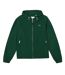 Blouson Aviateur Homme Vert Lacoste-2