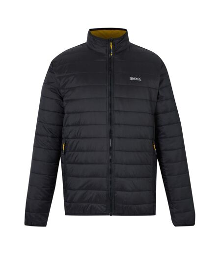 Veste 3-en-1 Wentwood Homme Marron Noir Regatta