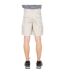 Trespass Mens Gally Water Repellent Hiking Cargo Shorts (Mushroom) - UTTP230-4
