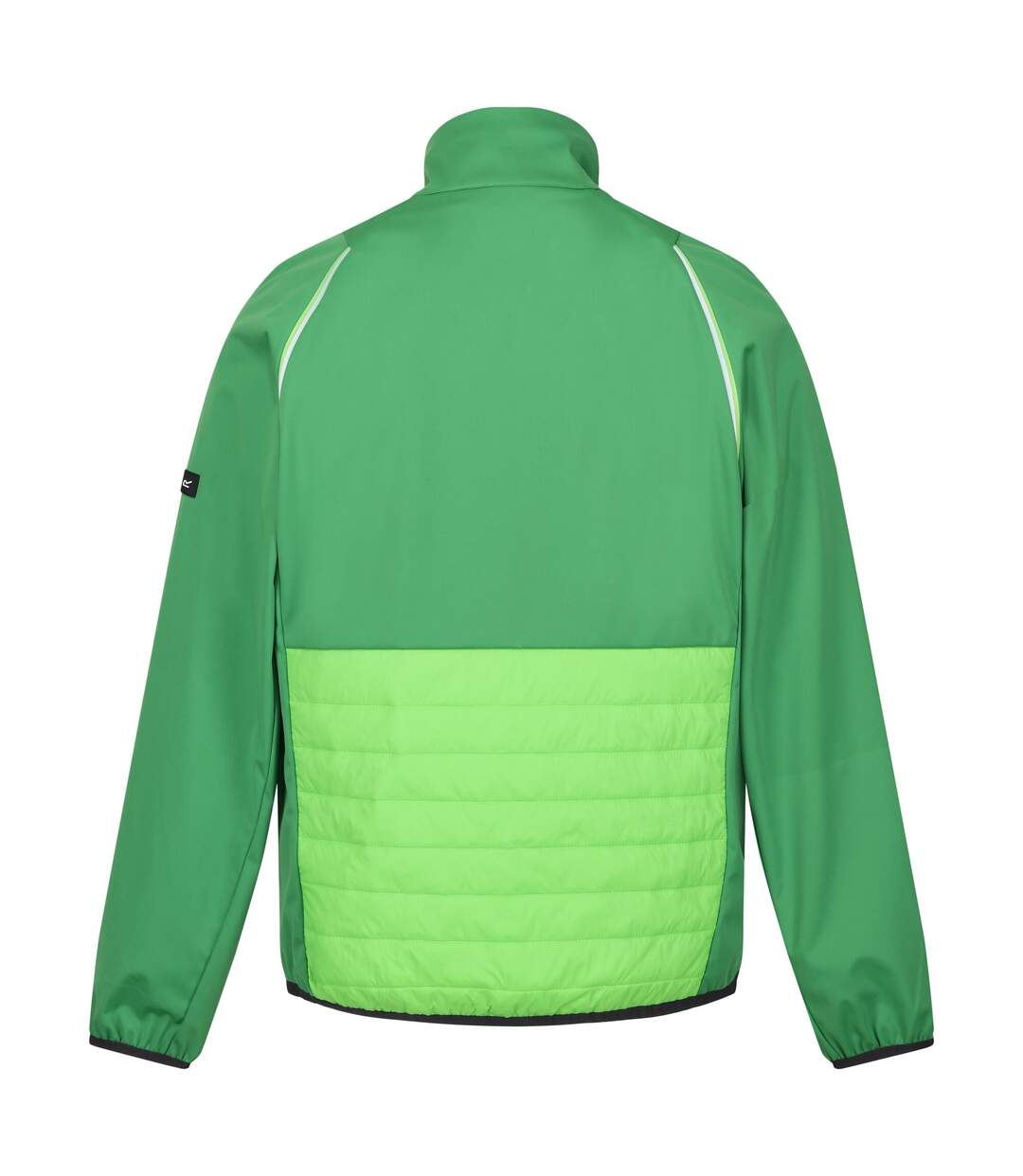 Veste softshell steren hybrid homme vert des champs / vert jasmin Regatta Regatta