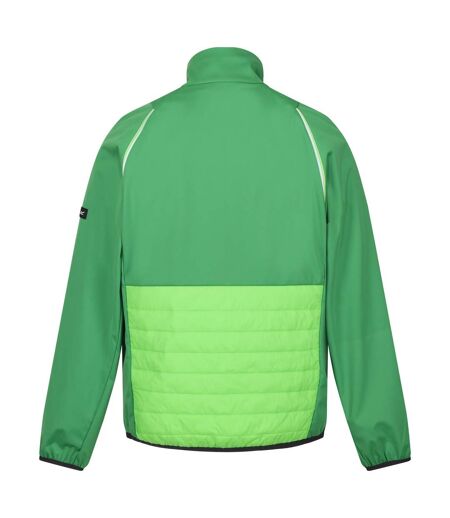 Regatta Mens Steren Hybrid Soft Shell Jacket (Field Green/Jasmine Green) - UTRG9163