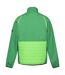 Regatta Mens Steren Hybrid Soft Shell Jacket (Field Green/Jasmine Green)