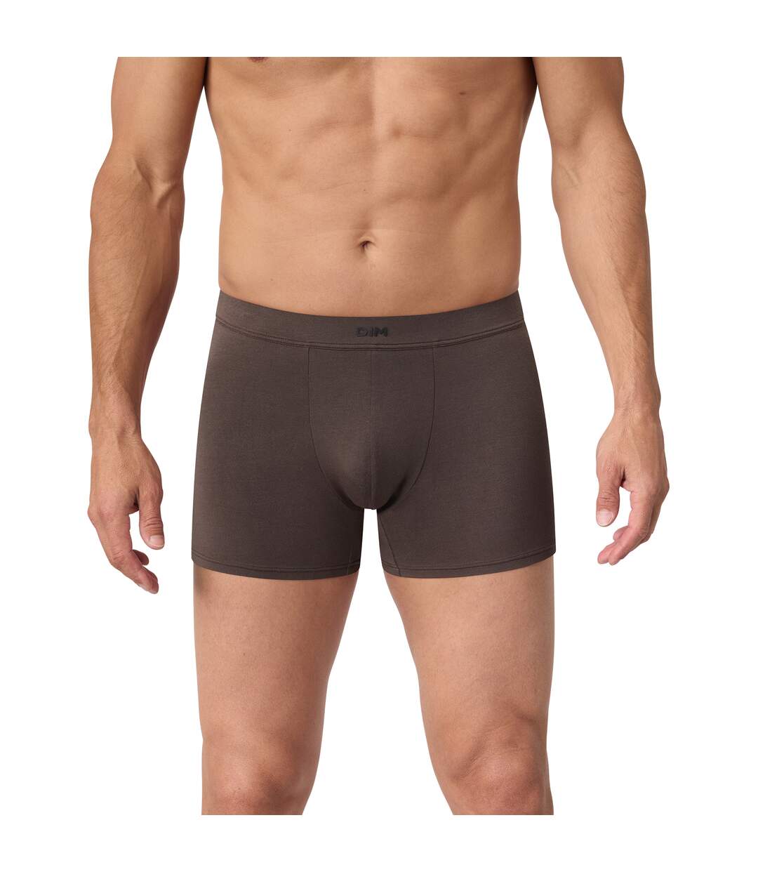 Boxer Gentleman-1