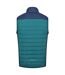 Mens halton vi lightweight body warmer pacific green/admiral blue Regatta