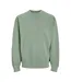 Unisex Adult Faded Drop Shoulder Sweatshirt Iceberg Green Jack And Jones-2