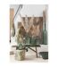 Vase Design en Verre Carafe 101cm Vert-2