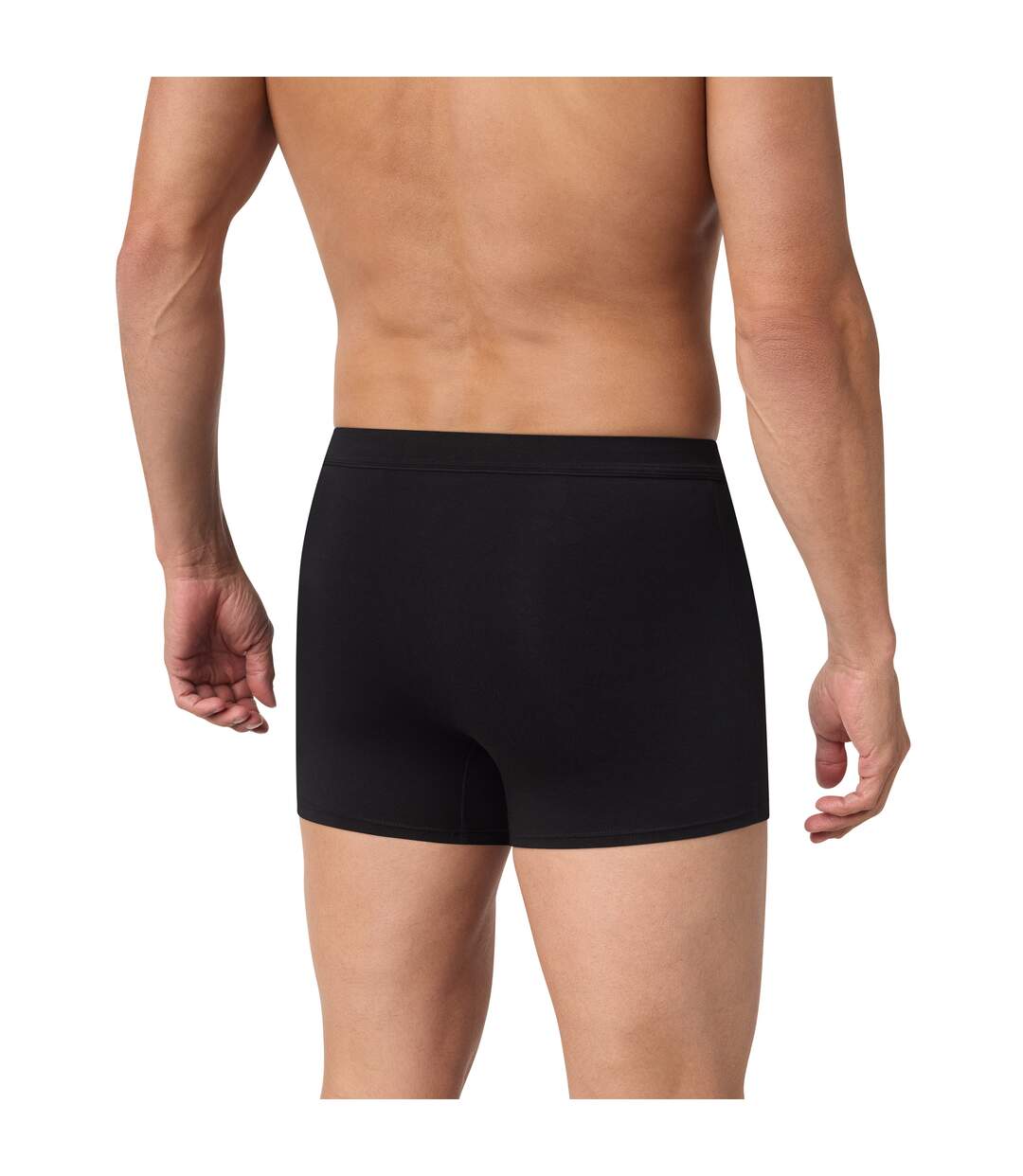 Boxer Gentleman-2