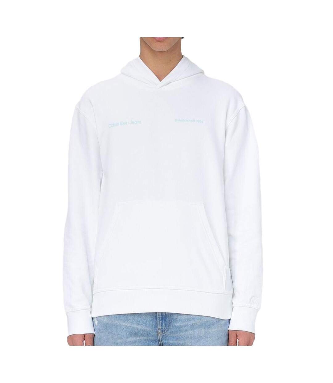 Sweat à capuche Blanc Homme Calvin Klein Jeans Big Box Logo - XXL