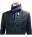 Giovanni Cassini - Écharpe Homme Luxe Rayures-3