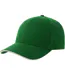 Casquette Liberty Sandwich Adulte Vert Blanc Atlantis-1