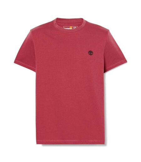 T-shirt Dunstan River Homme Marron Timberland