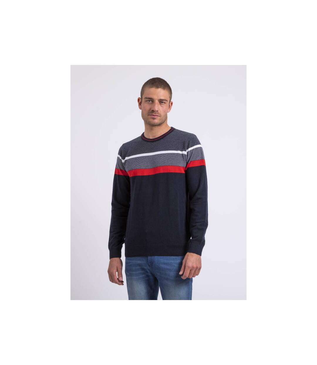 Pull fin col rond coton ARLO-1