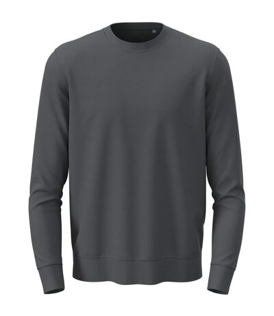 Unisex Adult Classic Sweatshirt Slate Grey Stedman