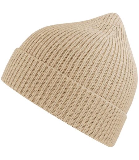 Atlantis Unisex Adult Andy Recycled Polyester Beanie (Beige) - UTAB559