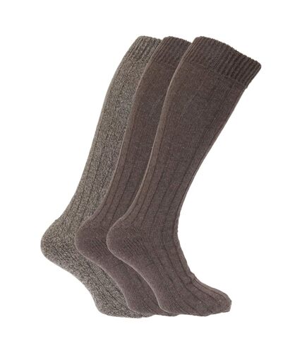 Chaussettes hautes rembourrées en mélange de laine (lot de 3 paires) - Homme (Nuance de brun) - UTMB160