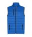 Veste Sans Manches Performance Homme Bleu Roi HRM-1