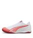 Mens Ibero Iv Football Boots  White Puma-2