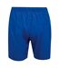 Umbro Mens Training Shorts (Royal Blue/French Blue/White)