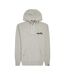 Sweat À Capuche Motif/style Logo Brodé Homme Gris Chiné Ellesse-2