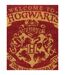 Harry Potter - Paillasson WELCOME TO HOGWARTS (Marron / Blanc cassé) (Taille unique) - UTPM2530