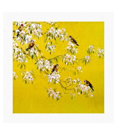 Fletcher Prentice Spring Goldfinches Print (Yellow/White/Brown) (40cm x 40cm) - UTPM8479