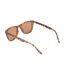Lunettes De Soleil Motif/style Polarisé Hazel Femme Taille Unique Marron Clair Animal-2