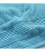 Serviette de Toilette Tendresse 50x90cm Bleu Paon-3